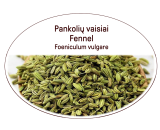 Fennel seeds (Foeniculum vulgare)