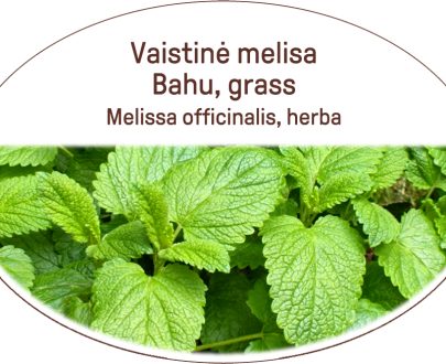 Bahu, grass / Melissa officinalis, herba