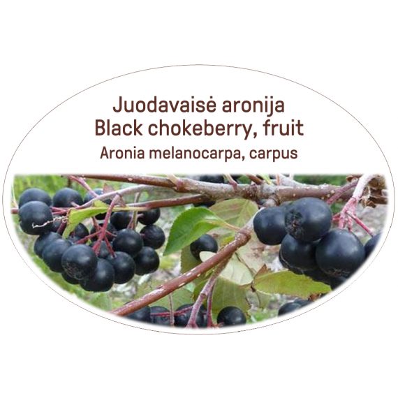Black Chokeberry, fruit / Aronia melanocarpa, carpus