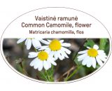 Common Camomile, flower / Matricaria chamomilla, flos