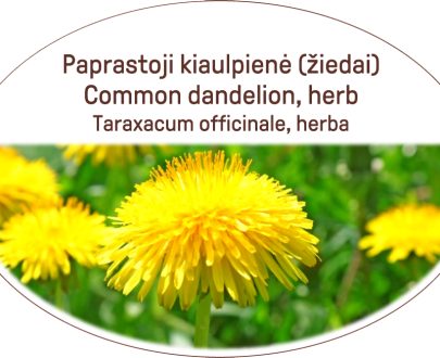 Common dandelion, herb / Taraxacum officinale, herba