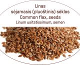 Common flax, seeds / Linum usitatissimum, semen