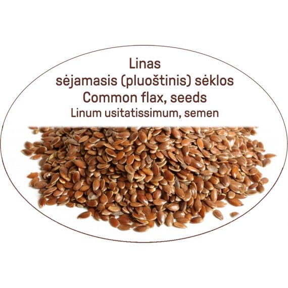 Common flax, seeds / Linum usitatissimum, semen