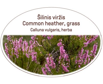 Common heather, grass / Calluna vulgaris, herba