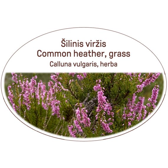 Common heather, grass / Calluna vulgaris, herba