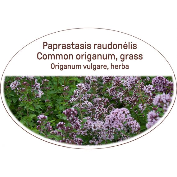 Common origanum, grass / Origanum vulgare, herba