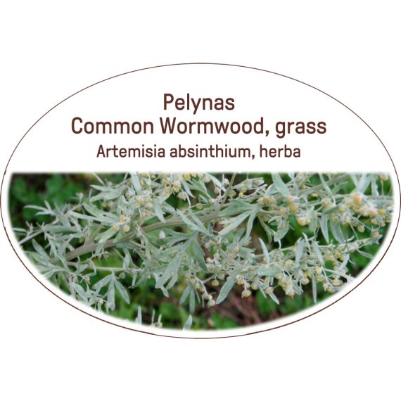 Common wormwood, grass / Artemisia absinthium, herba