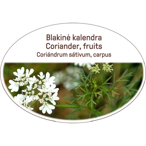 Coriander, fruits / Coriandrum sativum, carpus