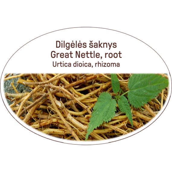 Great nettle, root / Urtica dioica, rhizoma