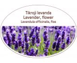 Lavender, flower / Lavandula officinalis, flos