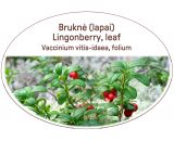 Lingonberry, leaf / Vaccinium vitis-idaea, folium