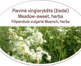 Meadow-sweet, herb / Filipendula vulgaris Moench, herba