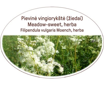 Meadow-sweet, herb / Filipendula vulgaris Moench, herba