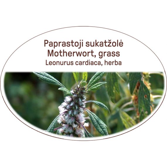 Motherwort, grass / Leonurus cardiaca, herba