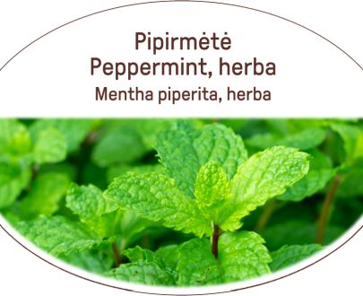 Peppermint, herba / Mentha piperita, herba