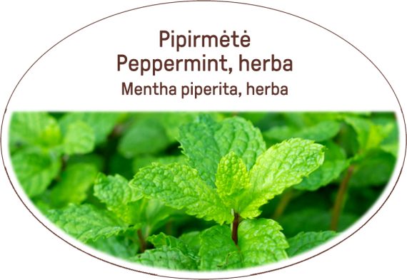 Peppermint, herba / Mentha piperita, herba
