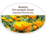 Pot marigold, flower / Calendula officinalis, flos