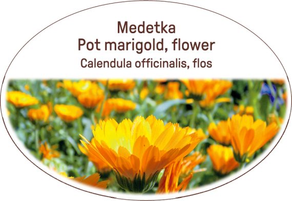 Pot marigold, flower / Calendula officinalis, flos
