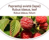 Rubus idaeus, leaf / Rubus idaeus, folium