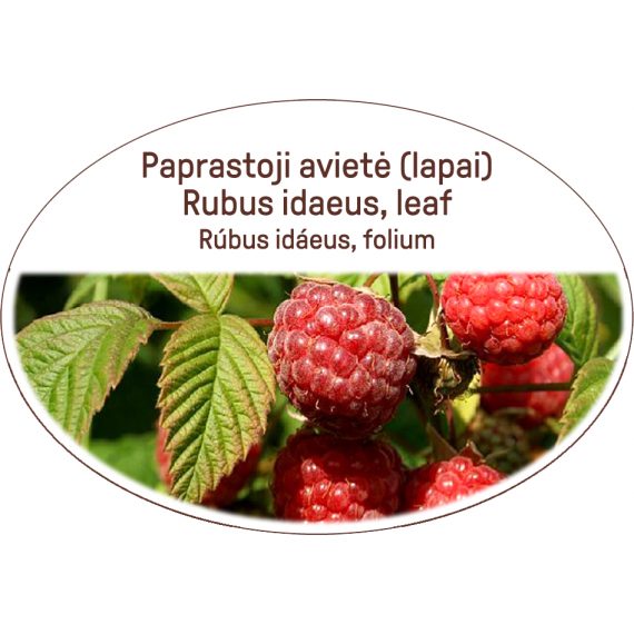 Rubus idaeus, leaf / Rubus idaeus, folium