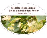 Small leaved Linden, flower / Tilia cordata, flos