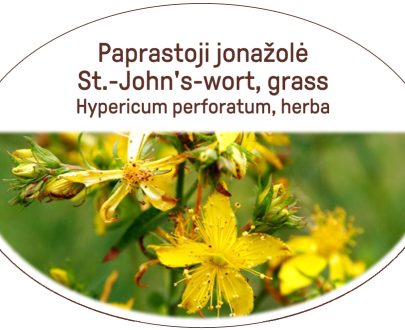 St.-John's-worth, grass / Hypericum perforatum, herba