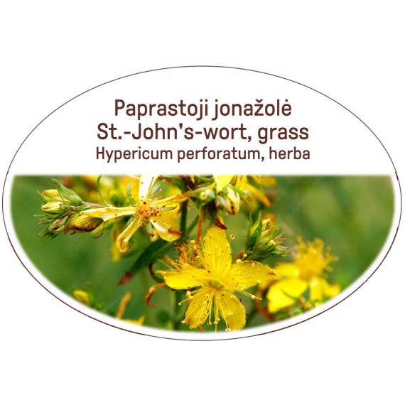 St.-John's-worth, grass / Hypericum perforatum, herba