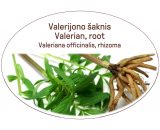 Valerian, root / Valeriana officinalis, rhizoma