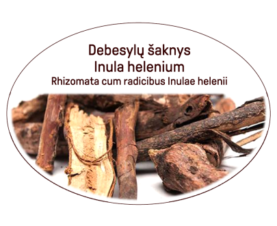 Inula Helenium root - (lot. Inula helenium)