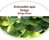 Ginkgo, Ginkgo Folium herb