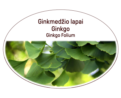 Ginkgo, Ginkgo Folium herb