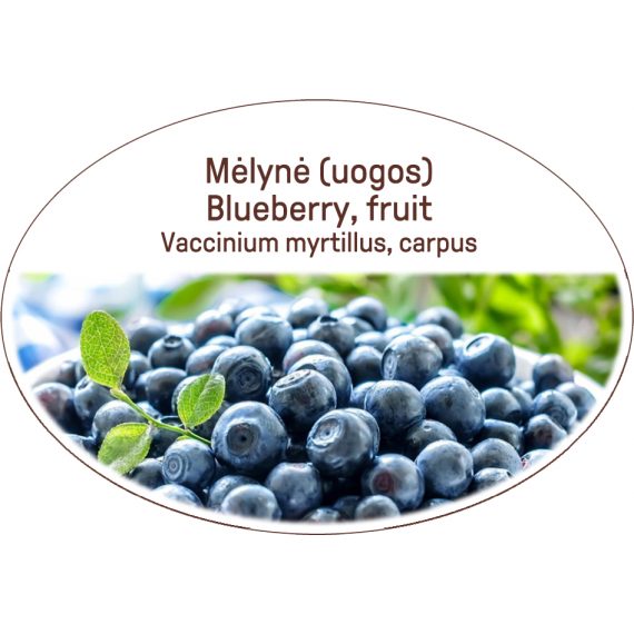 Blueberry, fruit, Vaccinium myrtillus, carpus
