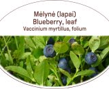 Blueberry, leaf, Vaccinium myrtillus, folium