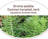 Common horsetail, herb / Equisetum arvense, herba