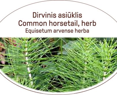 Common horsetail, herb / Equisetum arvense, herba