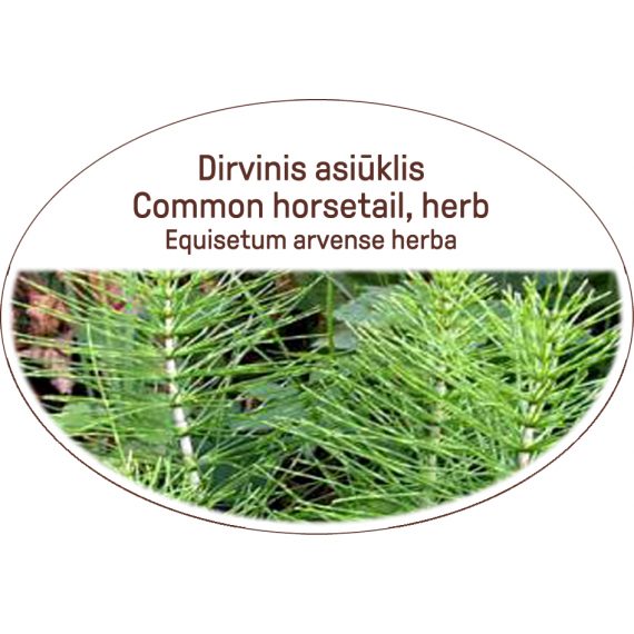 Common horsetail, herb / Equisetum arvense, herba