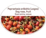 Dog rose, fruit, Rosa canina, carpus