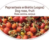 Dog rose, fruit, Rosa canina, carpus