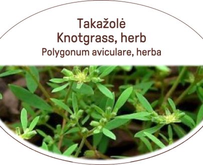 Knotgrass, herb / Polygonum aviculare, herba