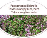 Thymus serpyllum, herb, tea Thymus serpyllum, herba