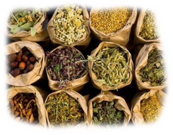 Moderate consumption of Herbal Teas