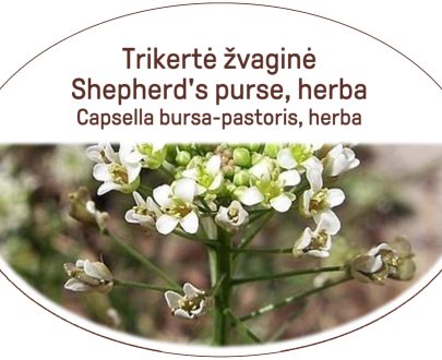Shepherd's purse, herba / Capsella bursa-pastoris, herba