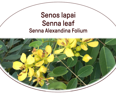 Senna Leaf Tea (lot. Senna Alexandina Folium)